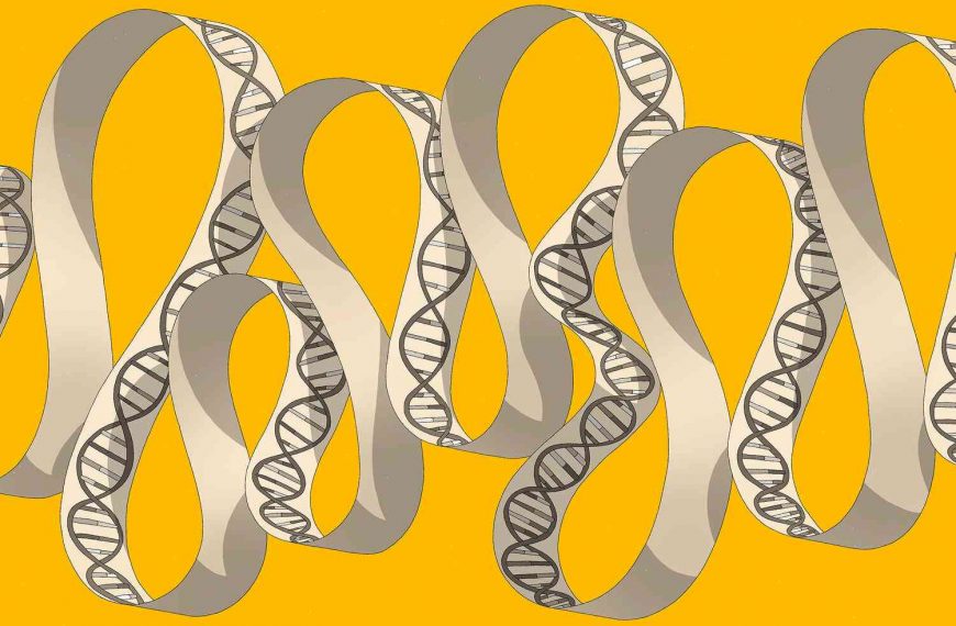 From cure to prevention: How genetic research holds the key to one of medicine’s biggest breakthroughs